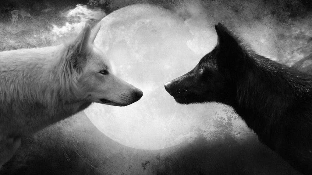“Grayscale HD Wallpaper: Mystical Wolves & Full Moon Contrast”