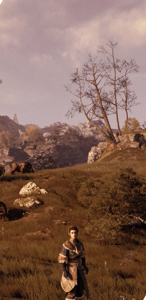 GreedFall Siora character on grassy Teer Fradee hills with bison rocky terrain RPG wallpaper background