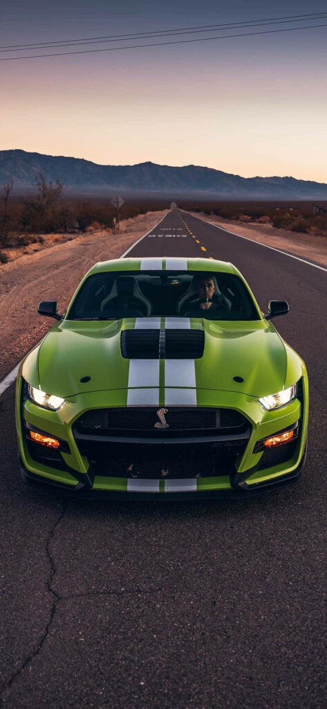 Green Ford Shelby with white racing stripes on desert highway at sunset automotive wallpaper