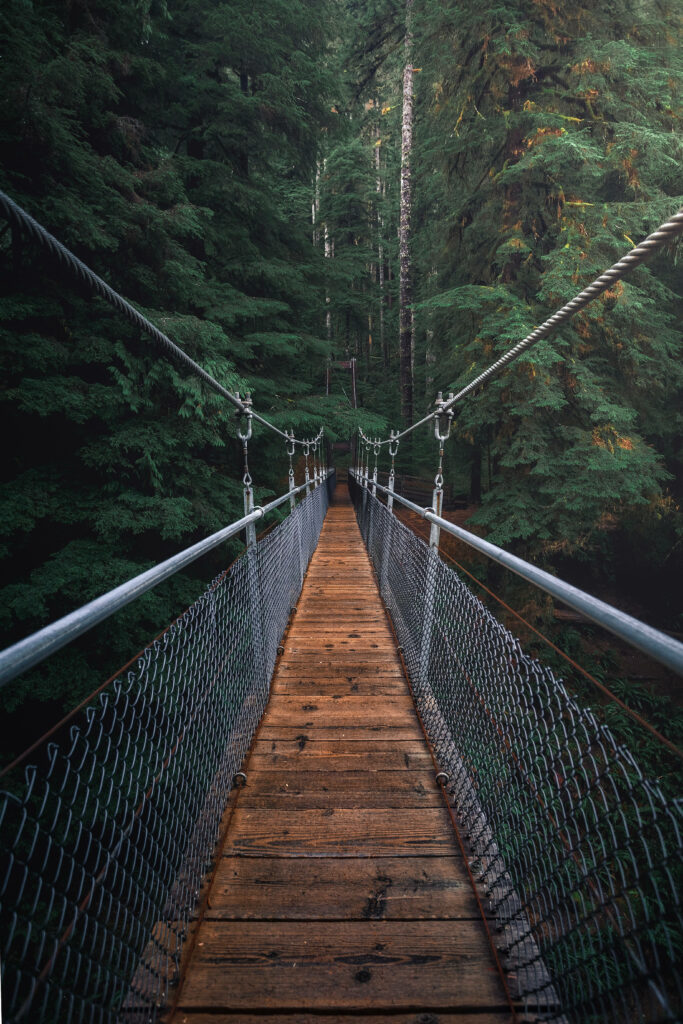 Rustic wooden hanging bridge in lush green temperate rainforest serene nature wallpaper background
