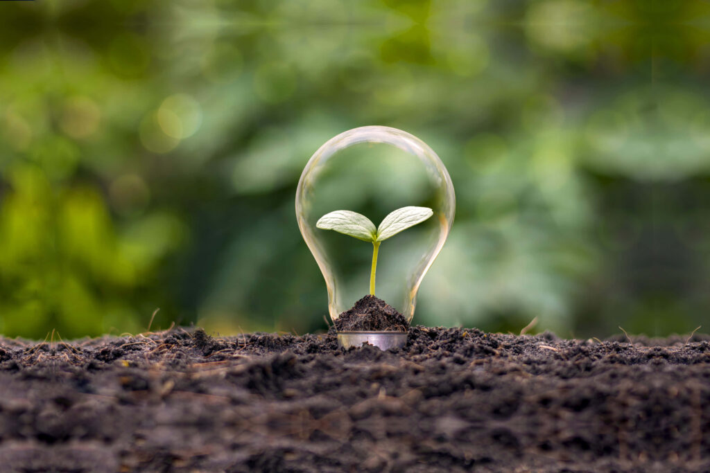 Green plant growing inside clear light bulb on soil symbolizing nature and innovation background Wallpaper