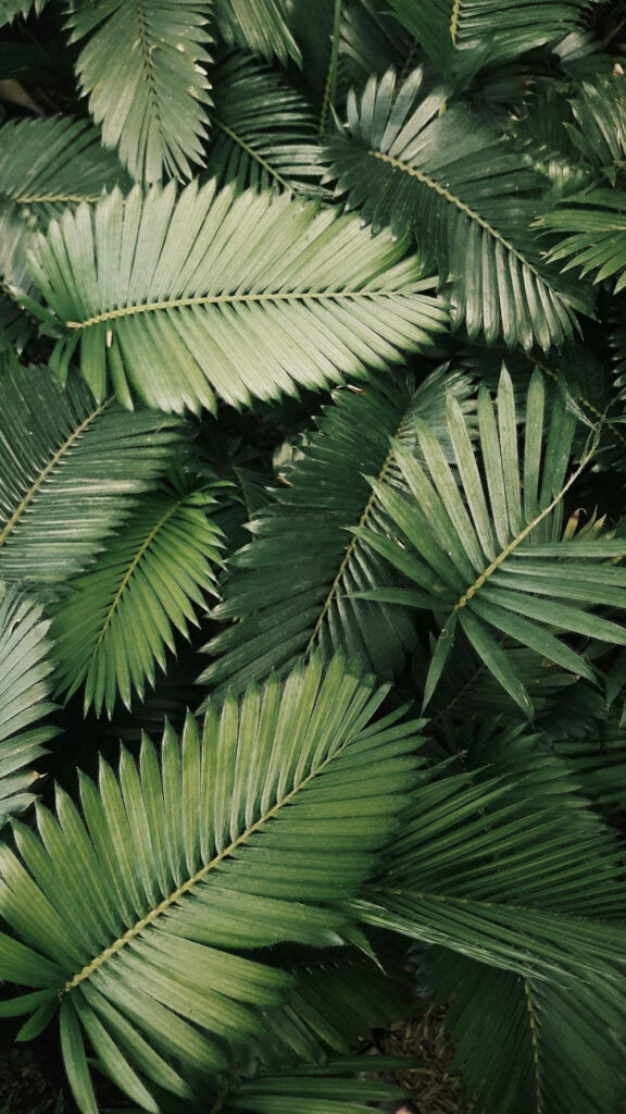 Bonding Beauty: A Lush Mobile Wallpaper of Green Tropical Leaves