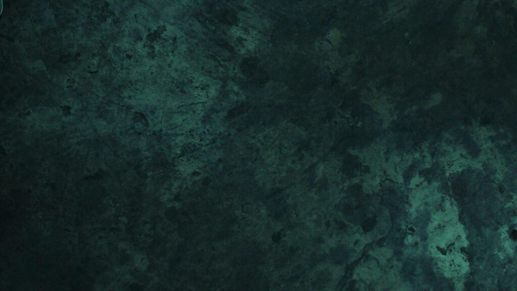 Dark and Distinctive: A Green Wall Texture Wallpaper for Bold Backgrounds