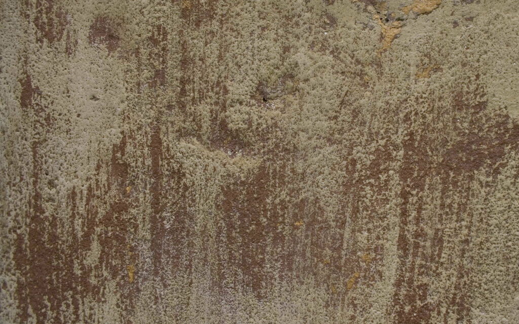 Aesthetic grunge: an atmospheric QHD wallpaper of textured concrete walls