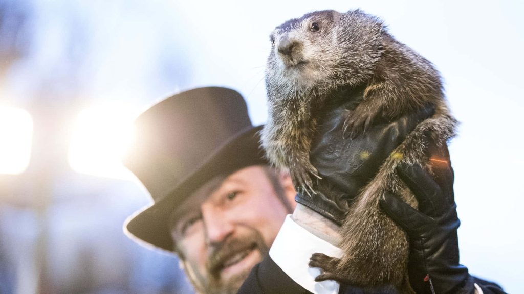 Groundhog Day celebration wallpaper with Inner Circle member holding Punxsutawney Phil outdoors