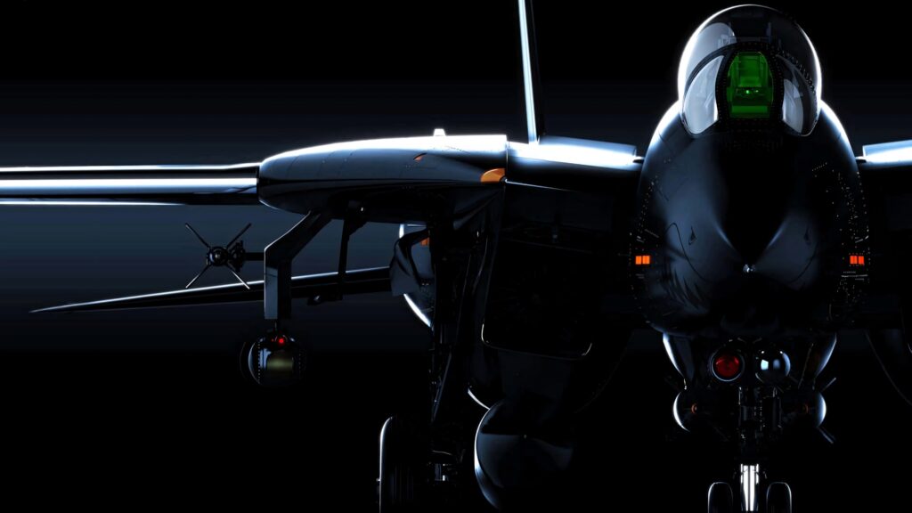 High contrast Grumman F-14 Tomcat wallpaper showcasing sleek design and advanced cockpit details