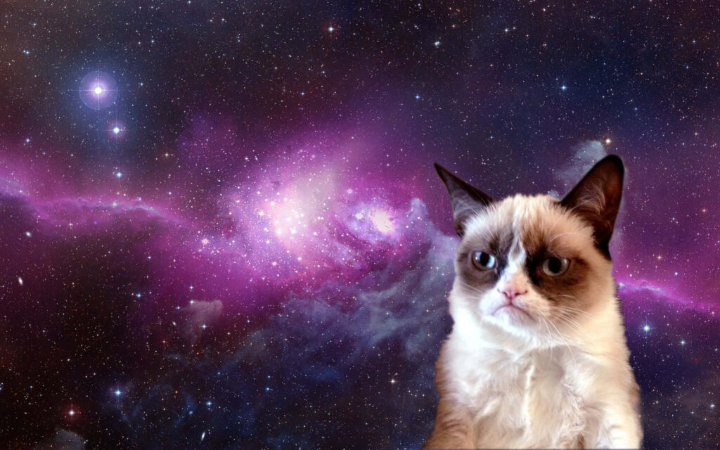 Grumpy Cat Galaxy Wallpaper: Cosmic Humor in Vibrant Stars