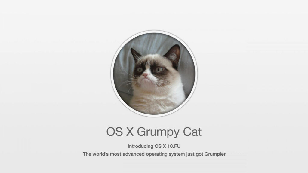 Grumpy Cat parody wallpaper styled as OS X update with minimalistic gray and white tones
