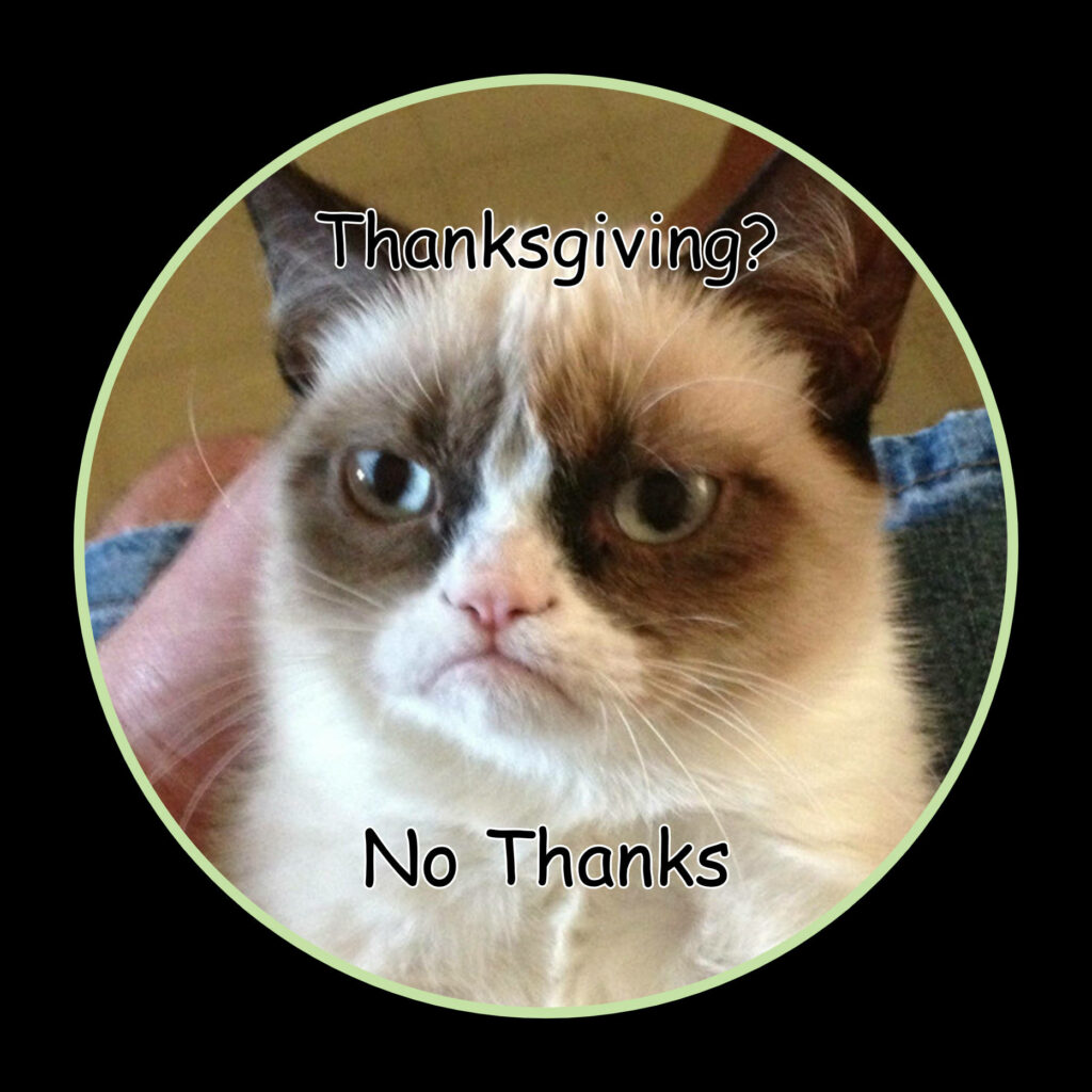 Grumpy Cat meme wallpaper with classic disgruntled face and humorous Thanksgiving rejection design