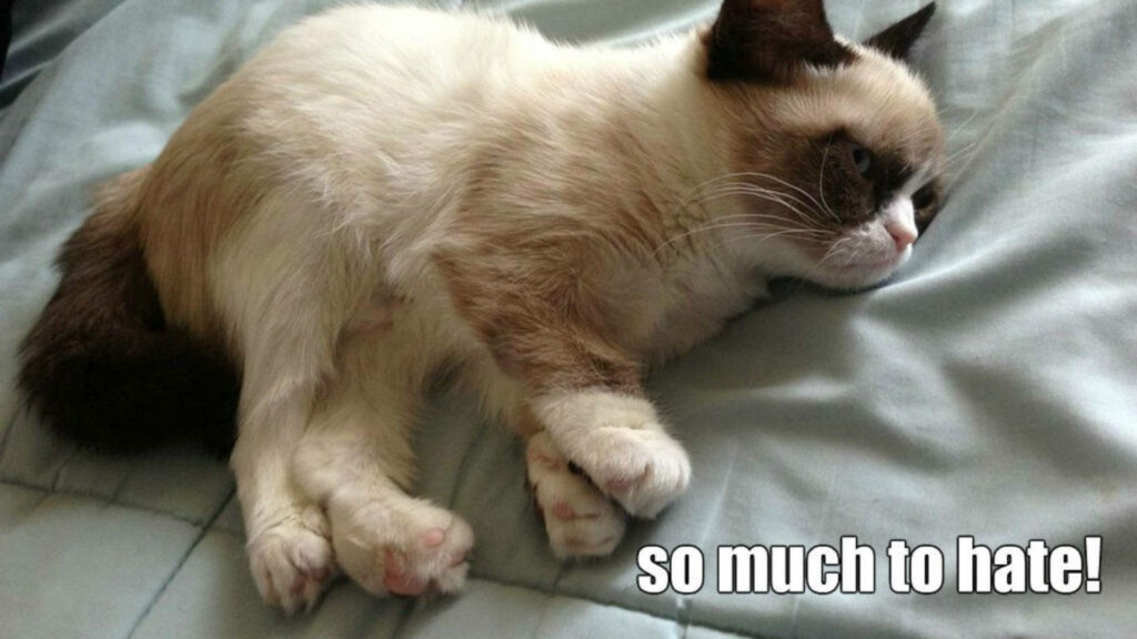 Grumpy cat stretched on light blue bed with classic frown and meme text so much to hate Wallpaper
