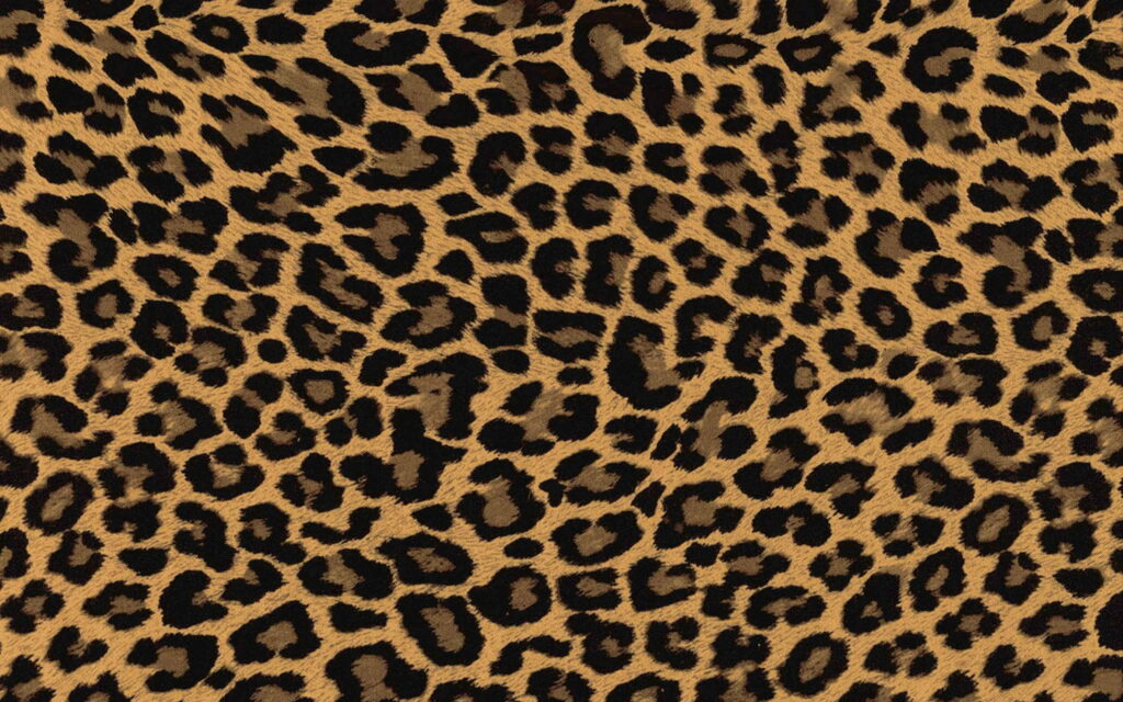 Leopard's Snazzy Attire: A High-Definition Wallpaper for the Fashion Enthusiasts