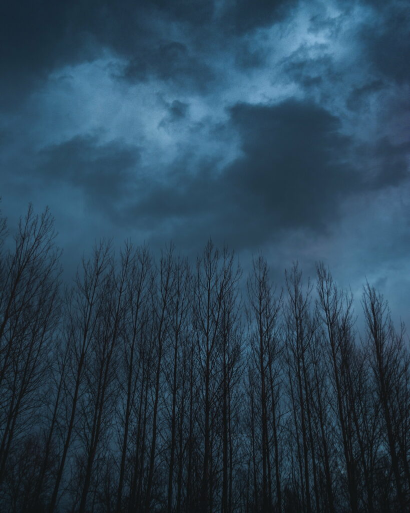 HD Phone Wallpaper: Dark Tree Silhouettes & Dramatic Cloudy Sky