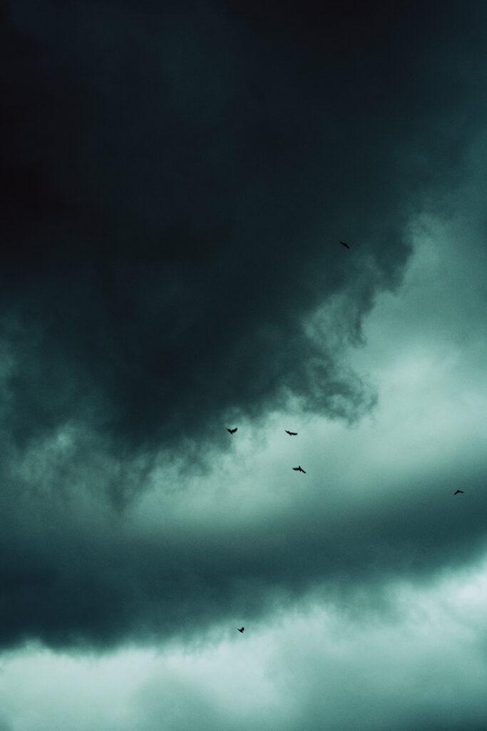 HD Wallpaper: Dramatic Overcast Sky with Dark Clouds & Birds