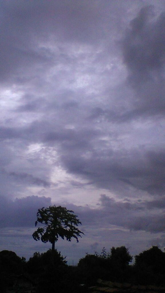 Moody HD Phone Wallpaper: Lone Tree Silhouette & Dramatic Clouds