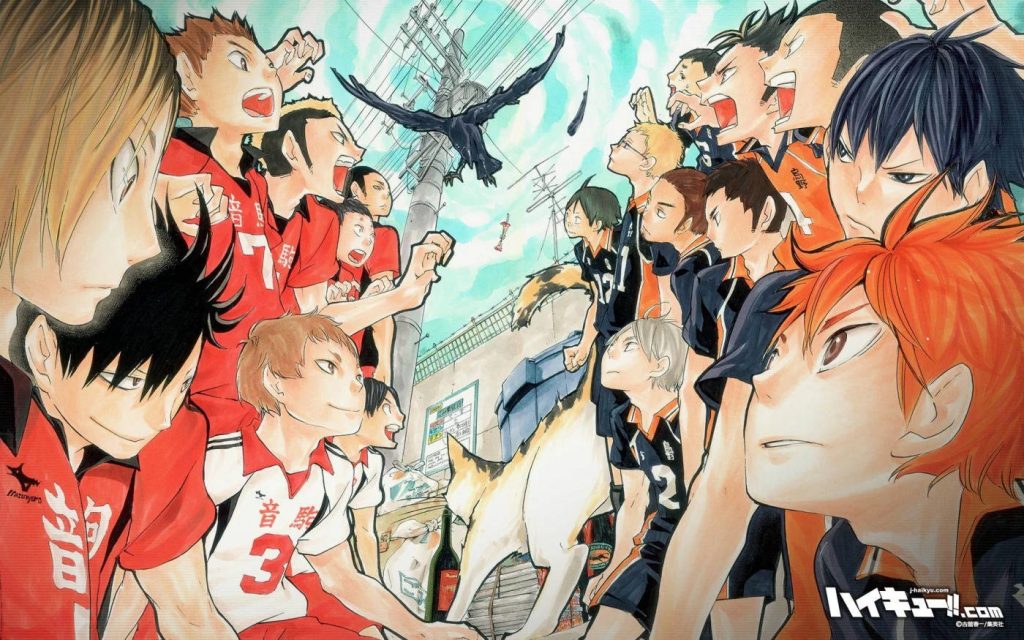 Haikyu Dumpster Battle wallpaper featuring Karasuno crow and Nekoma cat intense face-off background