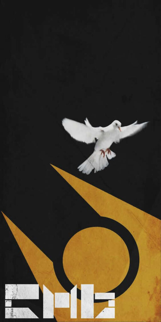 Half-Life 2 Wallpaper: White Dove, Iconic Logo & Peaceful Background