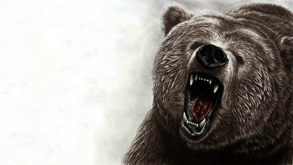 Majestic Kodiak Bear Wallpaper: Hand-Drawn Illustration Background