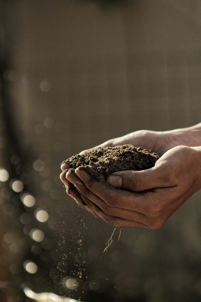 Hands holding natural earth soil symbolizing connection with nature and environmental beauty wallpaper