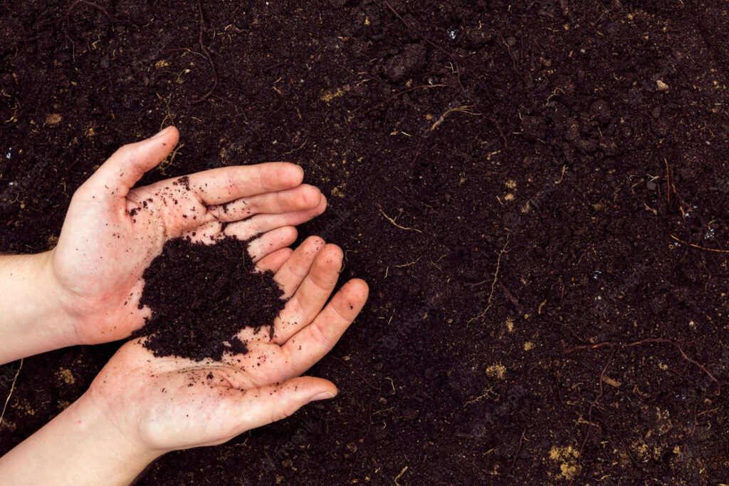 Two hands holding rich dark soil symbolizing growth connection to nature on earth background Wallpaper