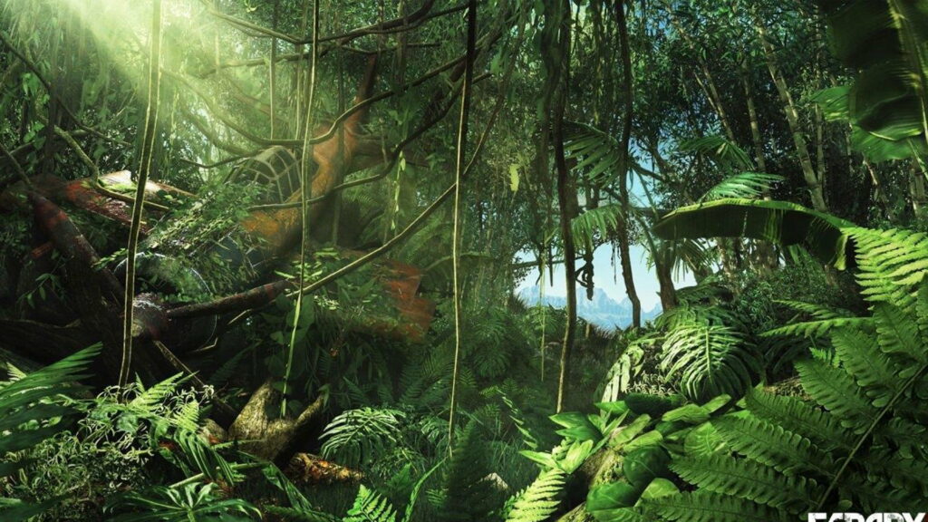 Tropical Paradise: Captivating Canopy of Overhanging Jungle Roots in Vibrant HD Wallpaper