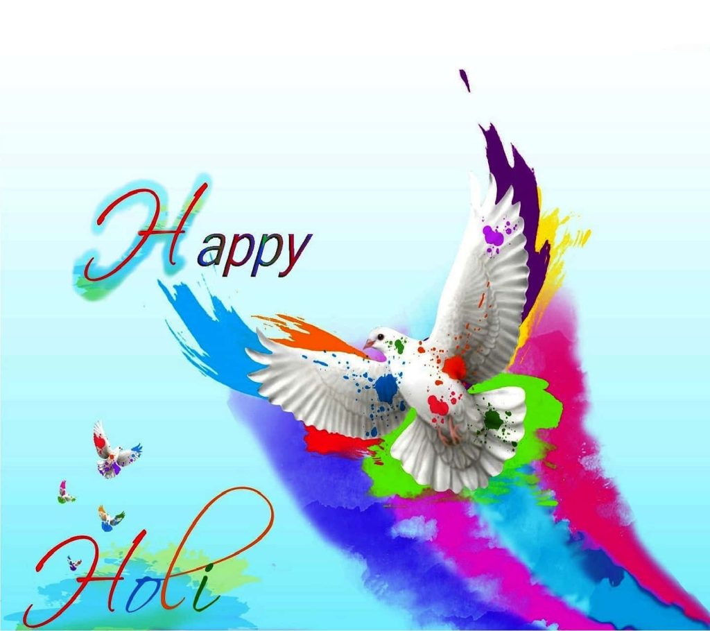 White dove with colorful Holi pigments flying against a vibrant rainbow splash background wallpaper