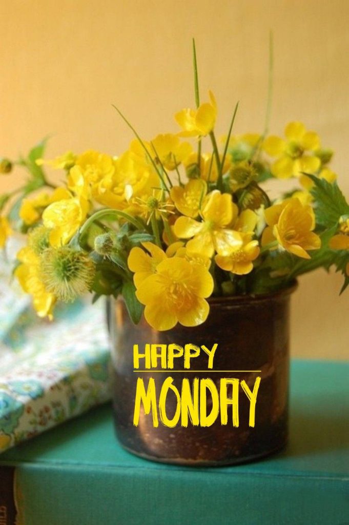 Rustic metal cup with yellow buttercups and Happy Monday text on teal book wallpaper background