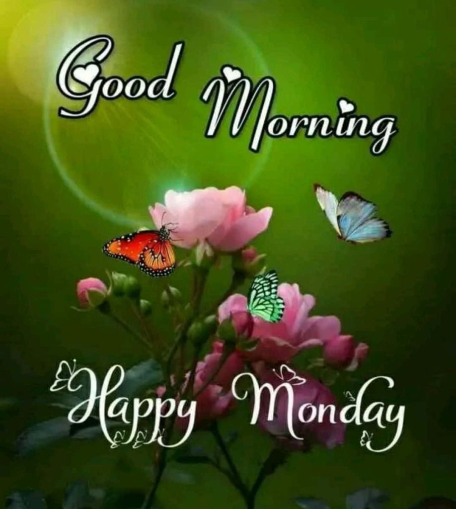Happy Monday greeting card with pink roses colorful butterflies on soft glowing green background Wallpaper