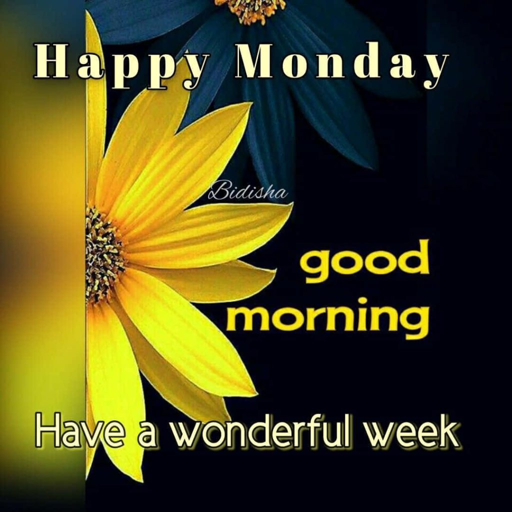 Happy Monday greeting card with vibrant yellow sunflower and uplifting morning wishes on dark background Wallpaper