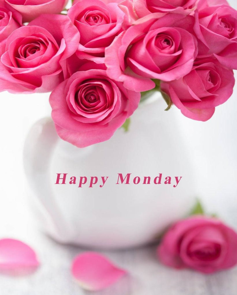 Happy Monday wallpaper with vibrant pink roses in white vase brightening desktop background