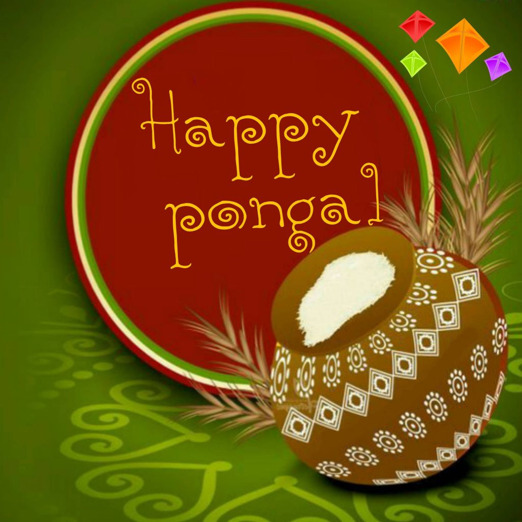 Happy Pongal wallpaper with clay pot rice paddy stalks colorful kites festive harvest greeting