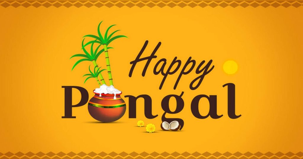 Happy Pongal wallpaper with clay pot rice sugarcane marigolds festive harvest festival design