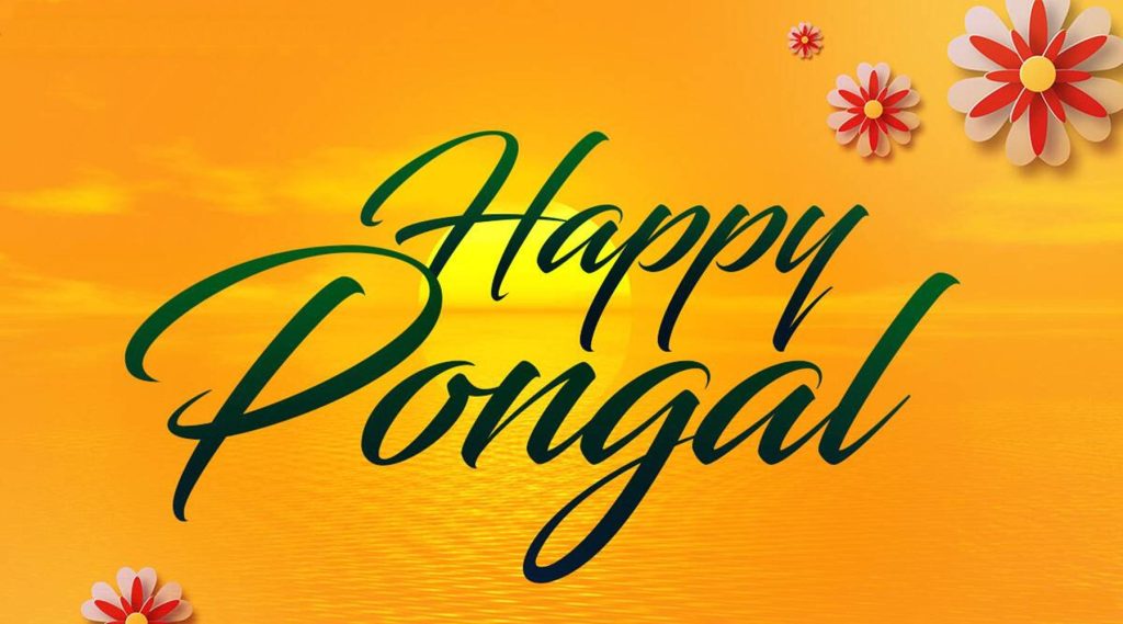 Happy Pongal greeting wallpaper with dark green text and red white floral ornaments on gold background