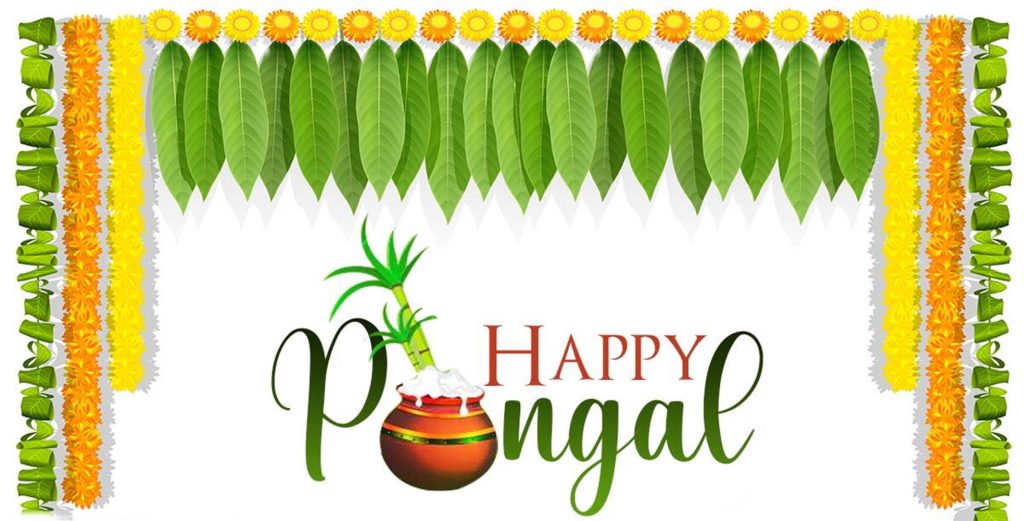Happy Pongal wallpaper with earthen pot rice sugarcane marigold garlands mango leaf toran background
