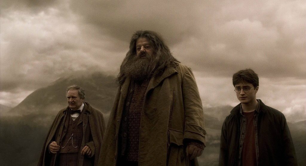 Harry Potter Half Blood Prince Aragog funeral Hagrid Harry Slughorn moody cinematic wallpaper