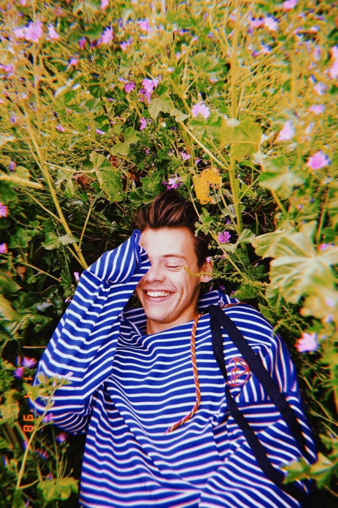 Harry Styles in Flower Field: Serene Blue Striped Shirt Wallpaper