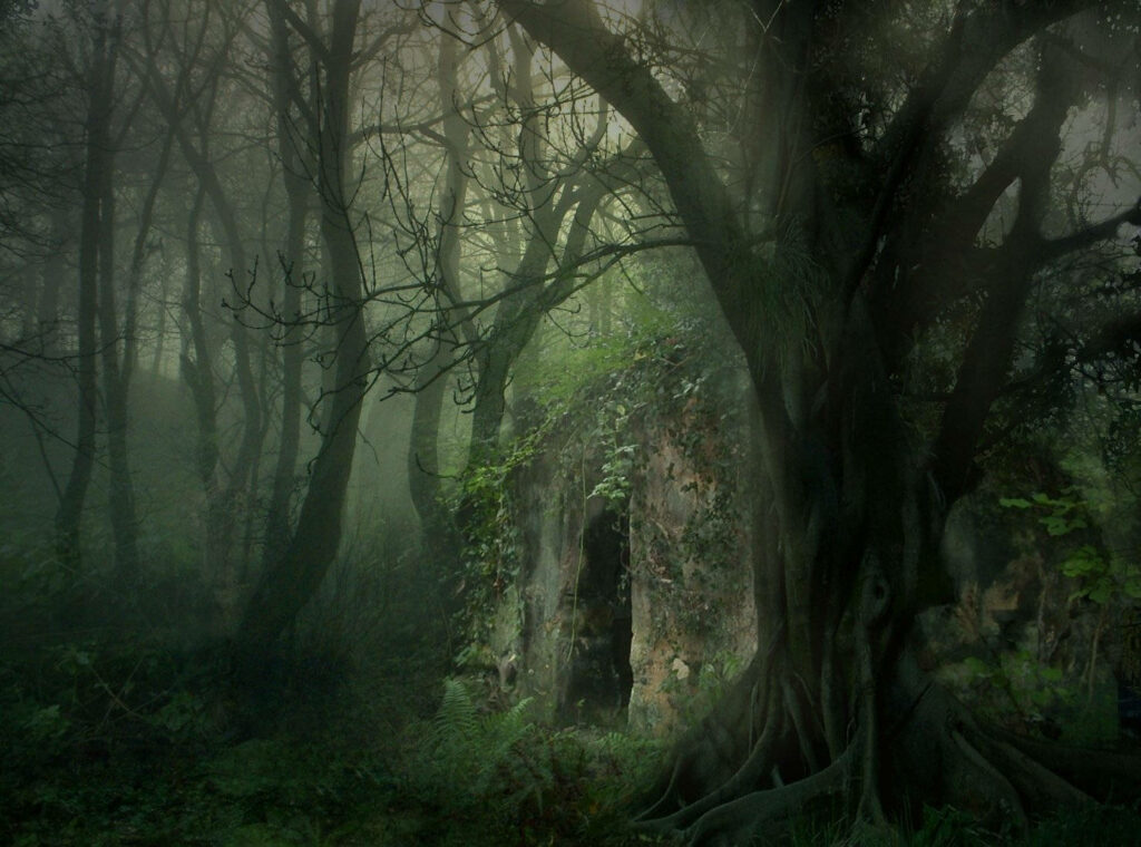 Dark eerie forest with twisted trees misty ivy covered stone structure ghost wallpaper background