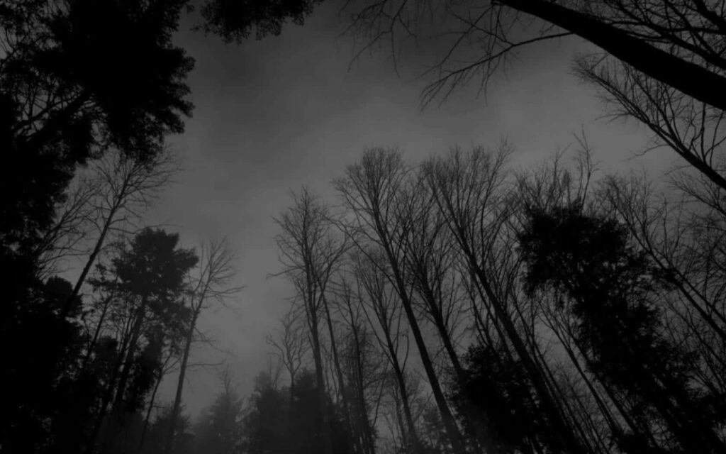 Monochrome Forest Wallpaper: Haunting Silhouettes & Misty Sky