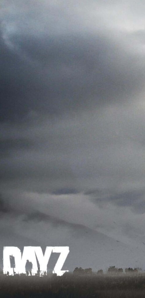Desolate Dystopia: A Bleak DayZ Visual Journey into an Eerie Field Wallpaper