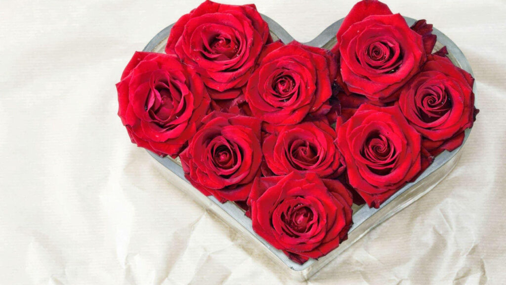 Heart-Shaped Red Roses: Stunning Wallpaper for Deep Love & Affection
