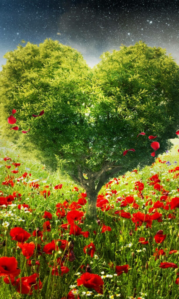 Heart-Shaped Tree Wallpaper: Vibrant Red Flowers & Starry Meadow