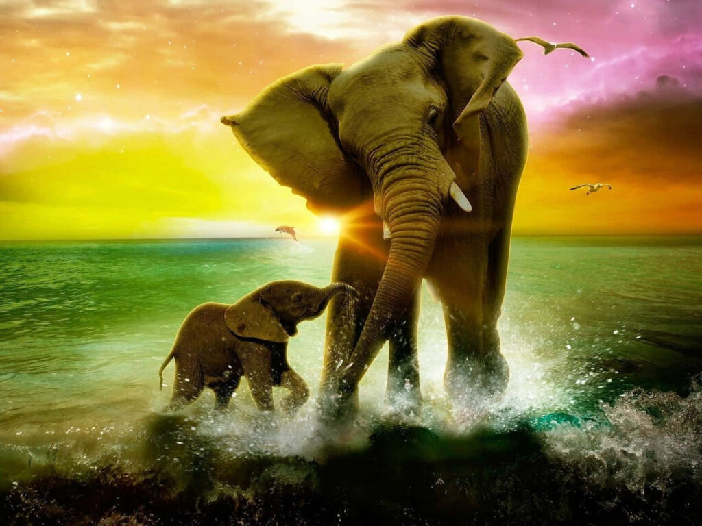 Mother-Daughter Elephants Splashing in Vibrant Sunset Wallpaper