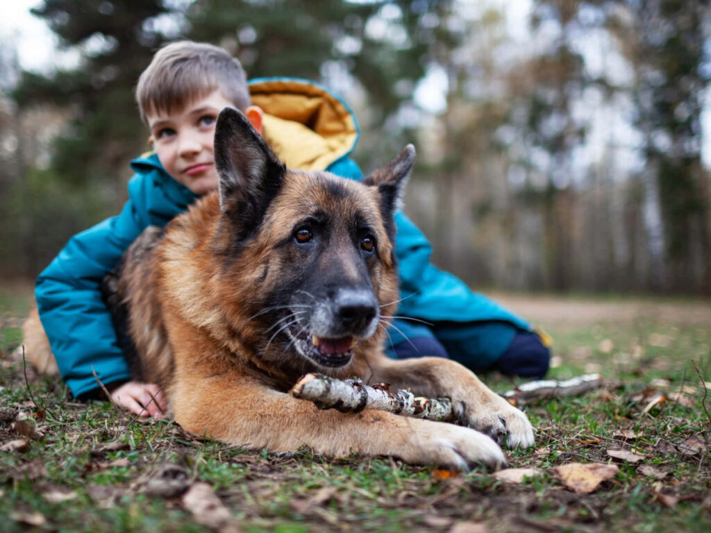 Heartwarming German Shepherd & Boy: Serene Outdoor Wallpaper