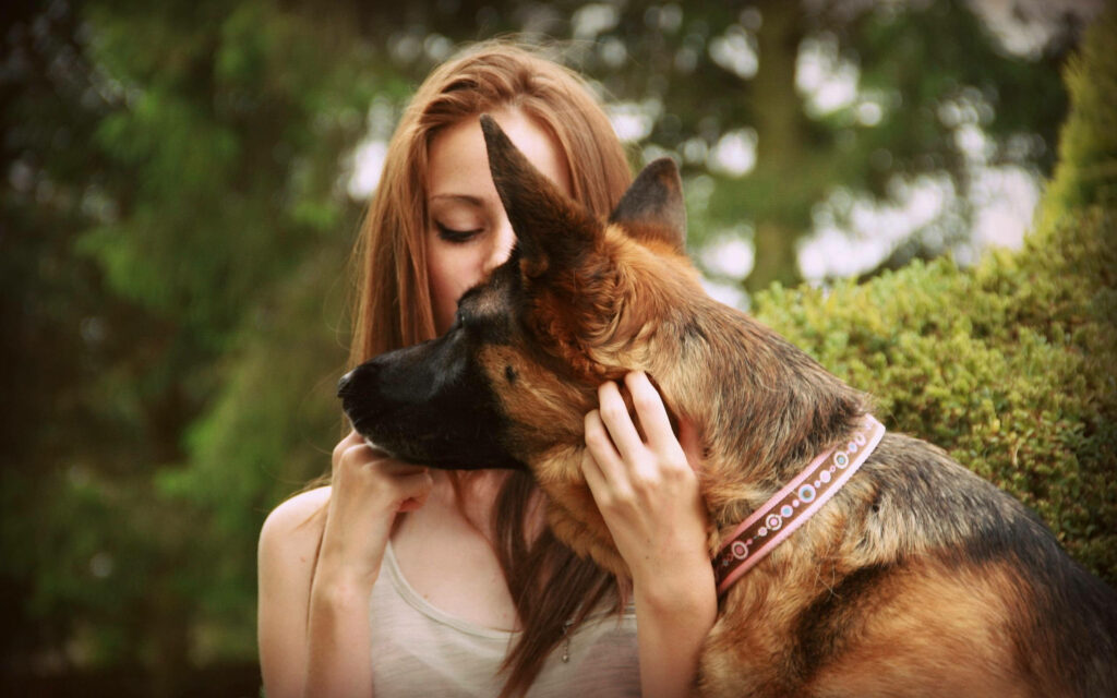 Heartwarming Wallpaper: Woman & German Shepherd in Nature