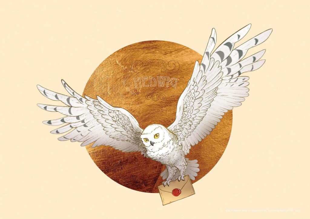 Hedwig the Snowy Owl Wallpaper: Majestic Wizarding Background