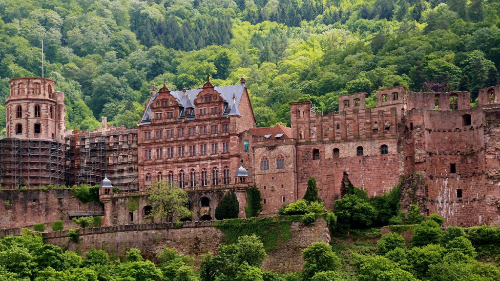 Heidelberg Castle red sandstone Renaissance ruins nestled in lush green forest daylight wallpaper