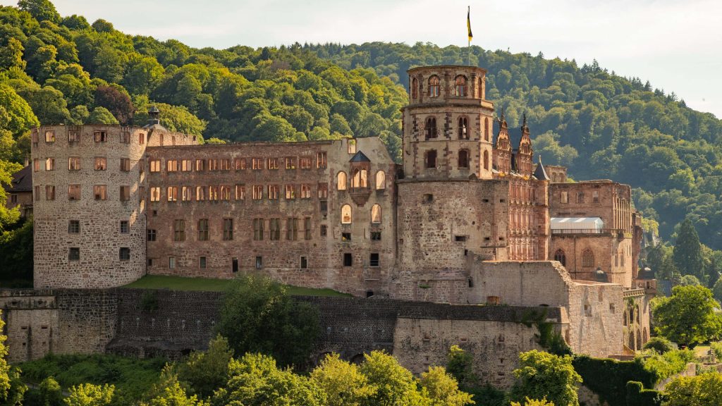 Heidelberg Castle red sandstone ruins in morning light with lush green forest background wallpaper