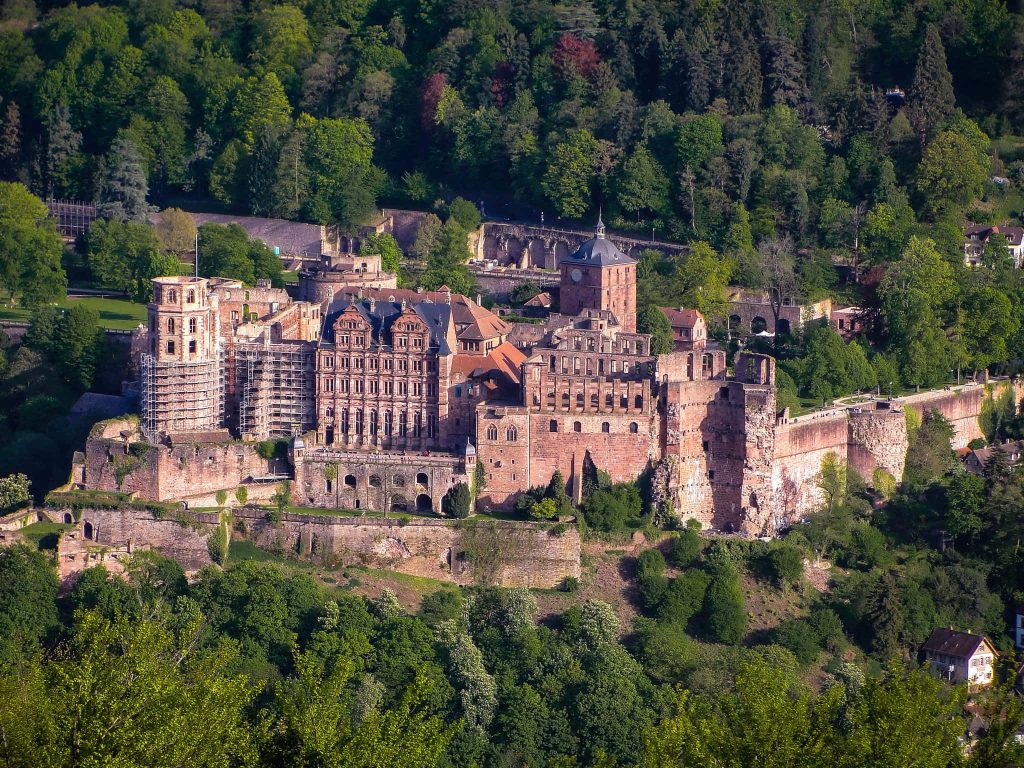 Heidelberg Castle red sandstone summer view with lush forest historic Germany wallpaper
