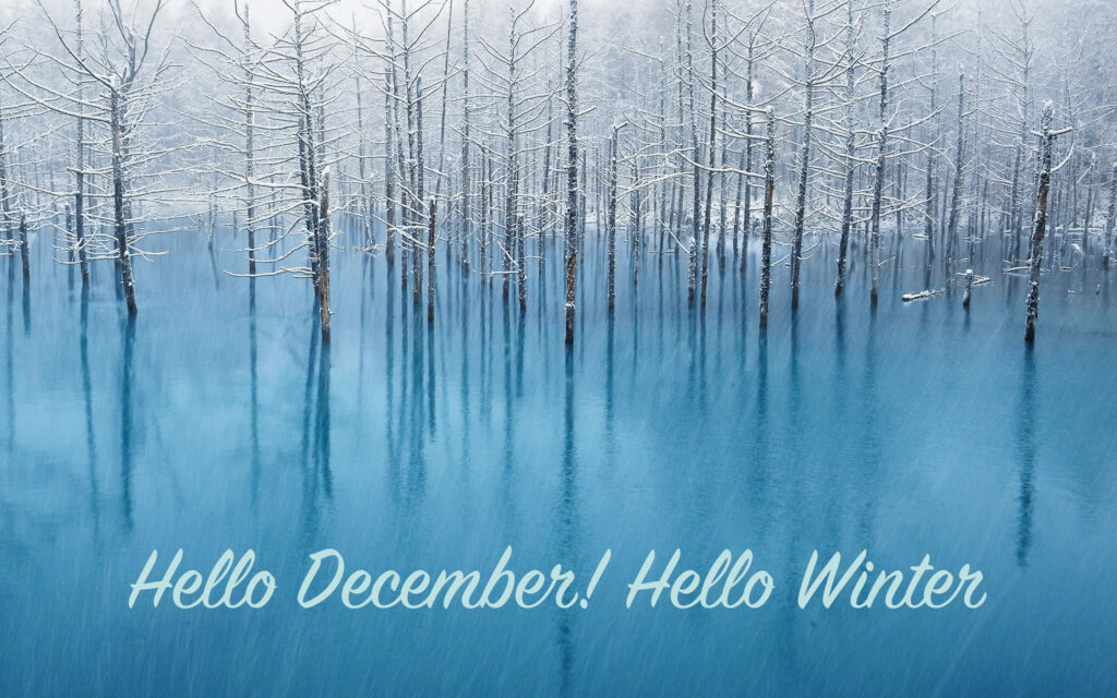 Serene winter scene with snow-covered trees in blue water under cloudy sky Hello December Winter wallpaper