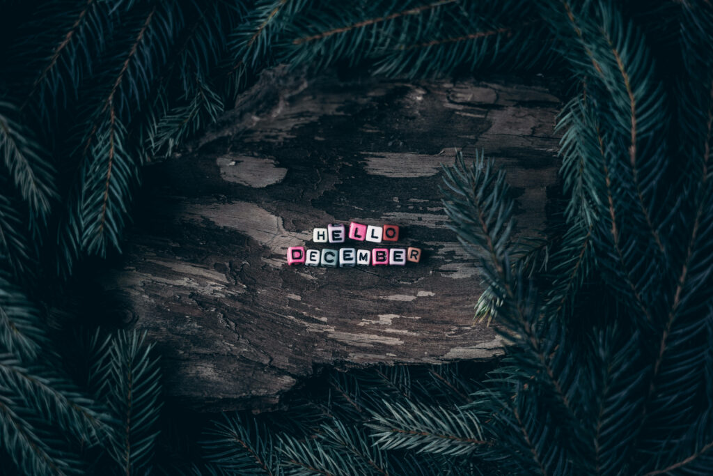 Hello December colorful letter blocks on rustic wood with pine branches winter forest wallpaper