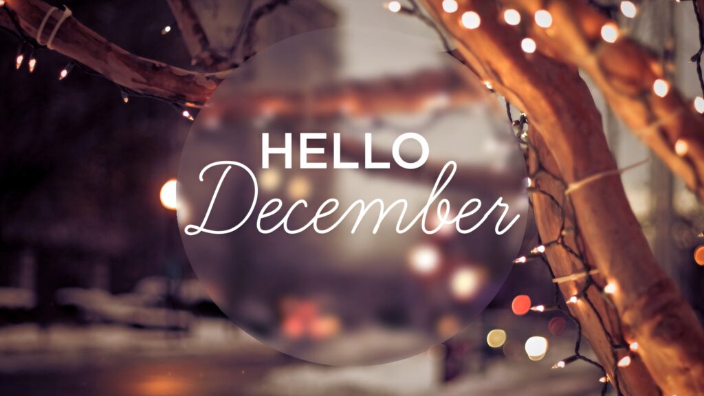 Warm Christmas lights on tree branches with Hello December text festive cozy winter wallpaper